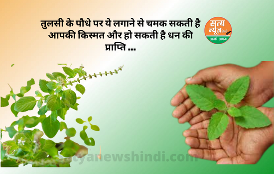 Tulsi