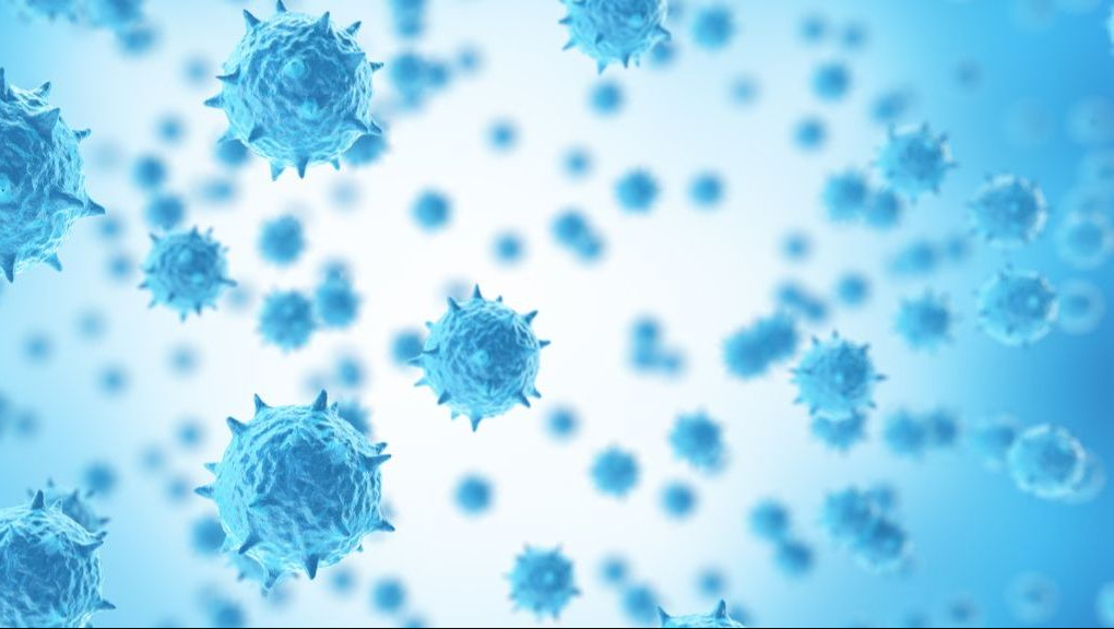 H3n2 influenza virus जाने कितना घातक है ये वायरस क्या क्या हैं लक्षण....  सत्य न्यूज़ हिंदी